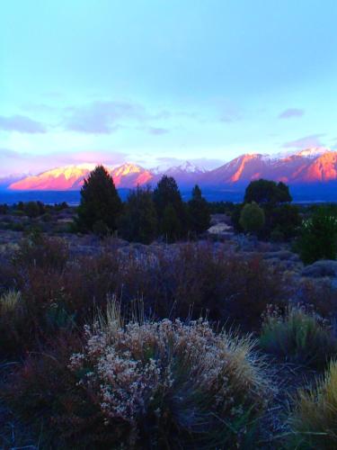 Fotografie z fotogalerie ubytování Tierra de Guanacos - casa en la naturaleza v destinaci Cholila