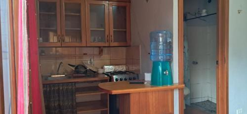 a kitchen with a green blender on a counter at Residencias Los Hasses in Santiago Atitlán