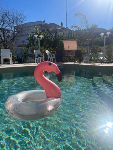 a red swan float in a swimming pool at Hotel Incontro in Peschici