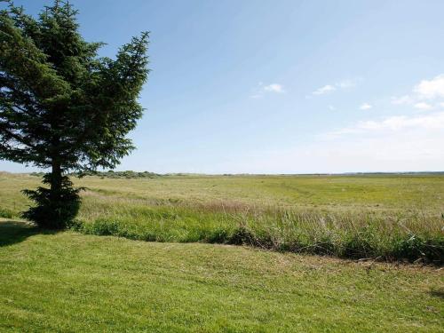 a tree in the middle of a grass field at Secluded Pool Retreat - By Traum Ferienwohnungen in Jerup