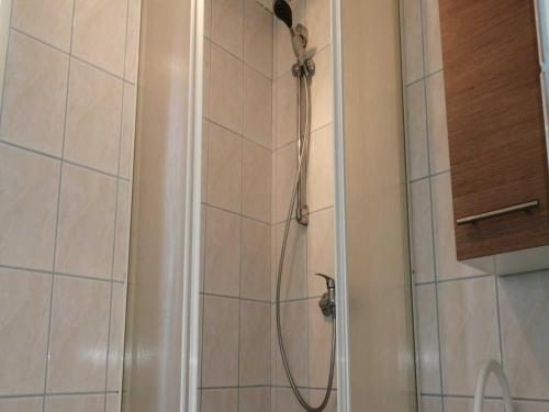 a shower with a shower head in a bathroom at Boutique Bungalow in Insel Poel with terrace in Insel Poel