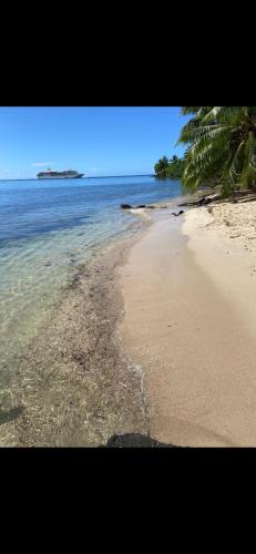 a beach with a few palm trees and the ocean at Bungalow Vaihere in Orufara