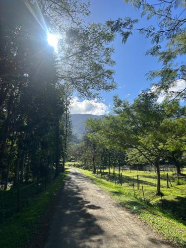 a dirt road with trees on either side at Le BUNGALOW CALEDONIEN DE SARRAMEA DEPAYSEMENT in Sarraméa