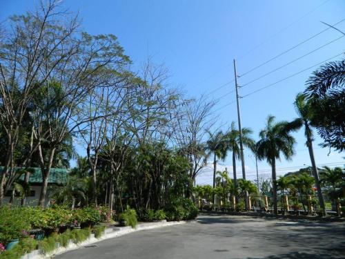 an empty street with palm trees on the side at DJ Paradise Hotel in Malolos