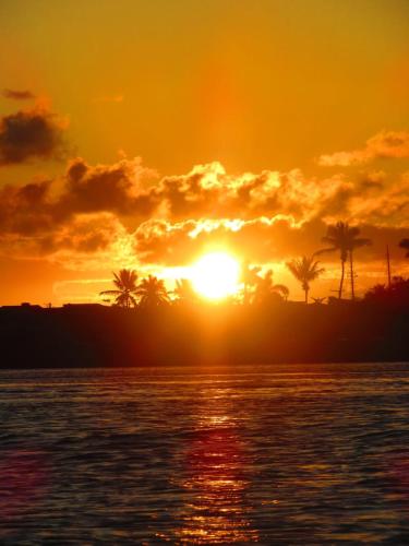 a sunset over the water with palm trees in the background at Pousada Ray Sol - Centro Arraial d Ajuda in Arraial d'Ajuda