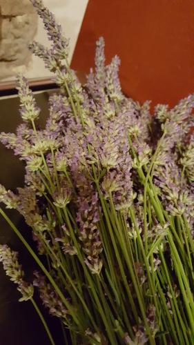 a bunch of purple flowers in a vase at La Torretta - Cerreto Grue in Sarezzano