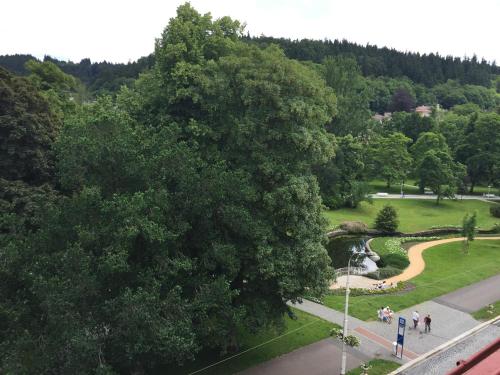 a view of a park with a pond and trees at Galerie Suites in Mariánské Lázně