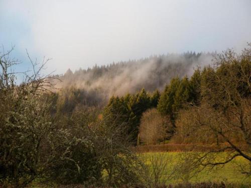 a misty hillside with a field and trees at Holiday Home in Luzy with Fenced Garden in Cuzy