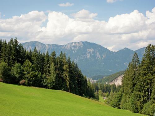 a green hill with trees and mountains in the background at Chalet in Wörgl near SkiWelt Wilder Kaiser in Salvenberg
