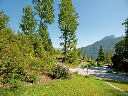 a road through a forest with trees and a mountain at Chalet in Wörgl near SkiWelt Wilder Kaiser in Salvenberg