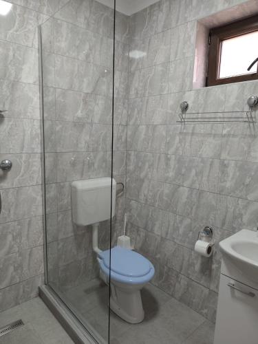 a bathroom with a toilet and a glass shower at Casa Angela in Giarmata