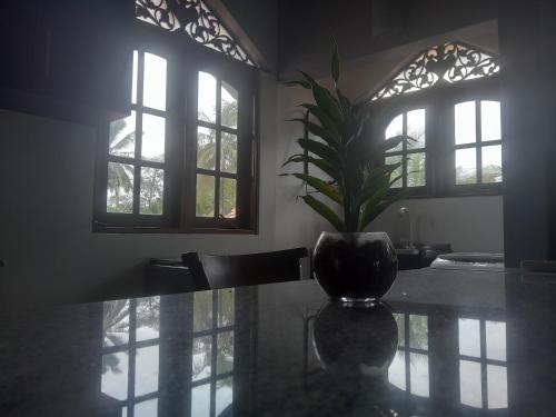 a vase with a plant sitting on a glass table at Ralph recedency in Kochchikade