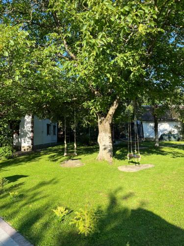 a group of trees in a park with a swing at Guest House Plai in Yaremche