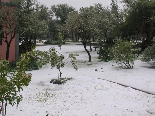 a snow covered yard with trees and a sidewalk at Posada Los Antiguos-Adults Only in Merlo