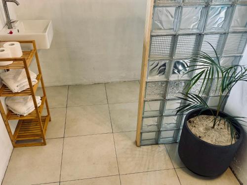 a bathroom with a sink and a potted plant at Villa Océan Gravier Rodrigues in Mt Bois Noir