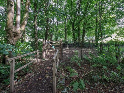 a wooden fence in a forest with trees at Abbots Reading Mews 1 in Lake Side