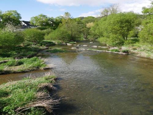 a river with grass and trees at Holiday home in Ramsbeck with garden in Ramsbeck