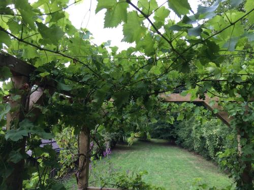 Κήπος έξω από το Cottage in France with Garden near Lake