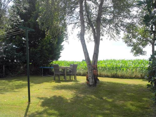 a table and chairs in a yard with a tree at Holiday home in with cycling area in Den Ham