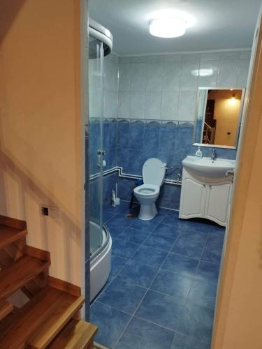 a bathroom with a toilet and a sink and a shower at Casa MAN in Mărişel
