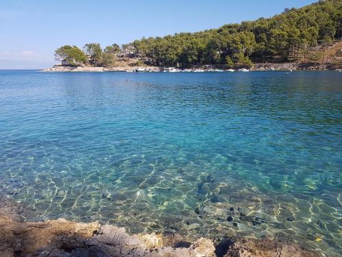 una gran masa de agua con árboles en el fondo en Bocel, en Mali Lošinj