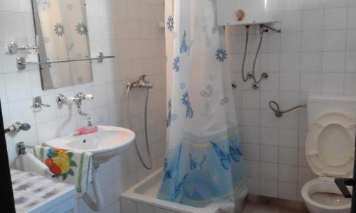 a bathroom with a sink and a toilet and a shower at Apartment Boksi in Ulcinj