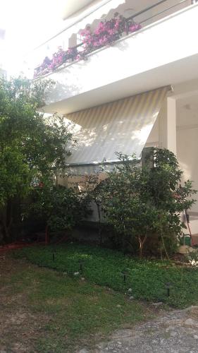 Centar Guest house