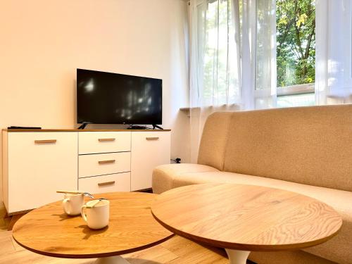 TV a/nebo společenská místnost v ubytování Chrobrego 56 Apartment - Self check-in 20h - parking