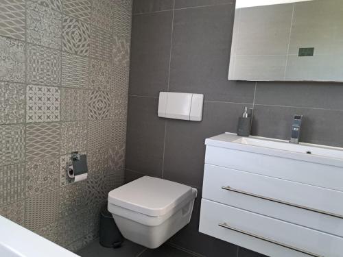 a bathroom with a white toilet and a sink at Ruime woning met jacuzzi, 10 min van strand in Lisse