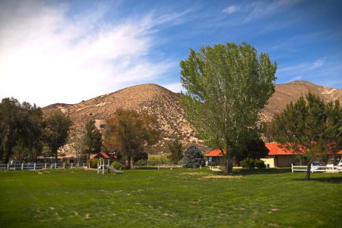 a field with a tree and mountains in the background at Soledad Canyon Cabin 18 in Ravenna