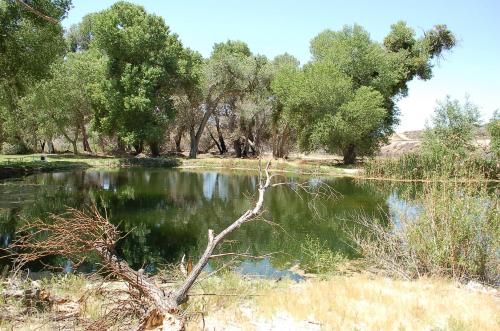 a body of water with trees in the background at Soledad Canyon Cabin 18 in Ravenna