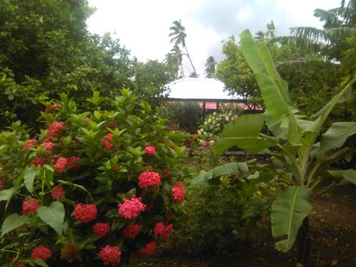 a garden with red flowers and a building in the background at Hostal La Cascada San Ramón in Mérida