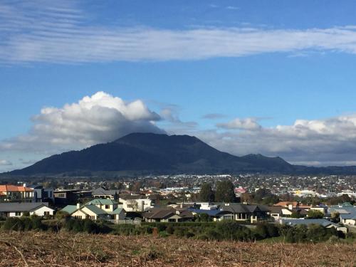 a view of a city with a mountain in the background at Punawai Homestay in Taupo