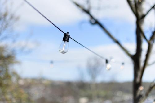 a bird is perched on a wire at Cosy Getaway with outdoor spaces in Launceston