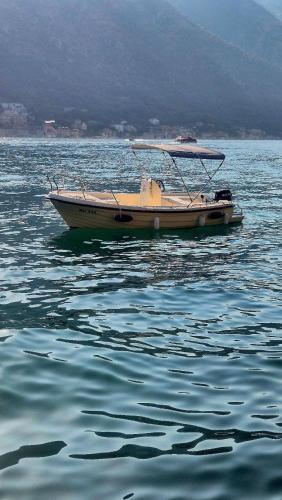 a boat sitting in the middle of the water at Apartmani F&M in Kotor