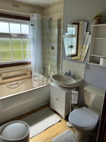 a bathroom with a toilet and a sink and a shower at Sunshine Lodge Haven Lakeland in Flookburgh