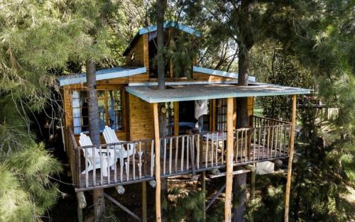 a log cabin in the woods with a porch and chairs at Vindoux Tree House Guest Farm & Spa in Tulbagh