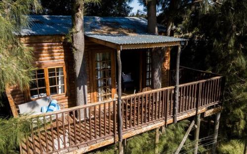 a log cabin with a porch in the woods at Vindoux Tree House Guest Farm & Spa in Tulbagh