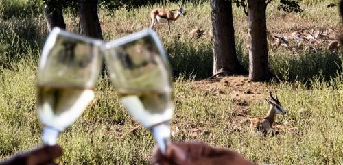 two people holding wine glasses in a field with deer in the background at Vindoux Tree House Guest Farm & Spa in Tulbagh