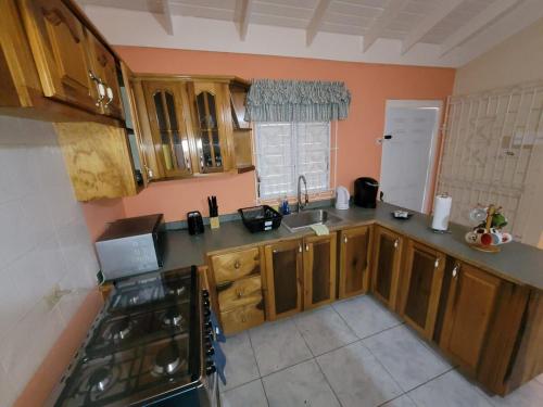 a small kitchen with wooden cabinets and a sink at Tropical Blessings - Ocho Rios in St Mary