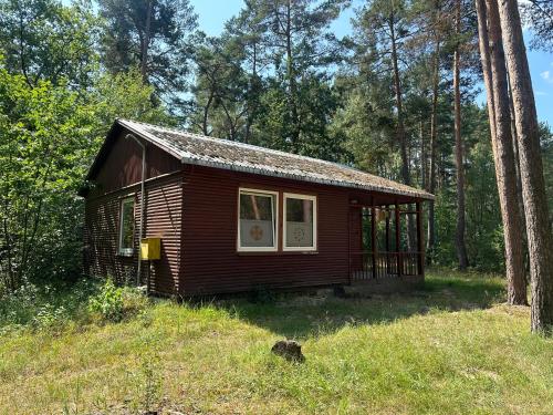a small cabin in the middle of a forest at Cziamma Ling - ośrodek buddyjski in Wilga