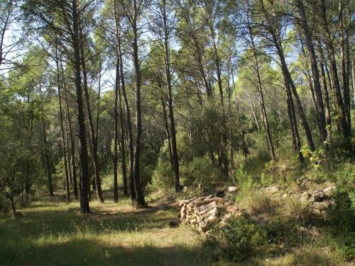 Φυσικό τοπίο κοντά σε αυτή η παραθεριστική κατοικία