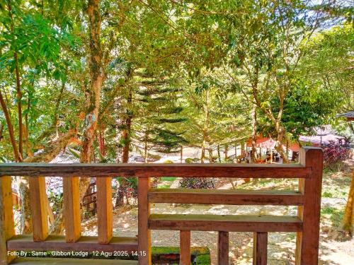 Taman di luar Batu Katak - Gibbon Guesthouse