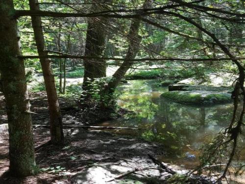 Φυσικό τοπίο κοντά σε αυτή η παραθεριστική κατοικία