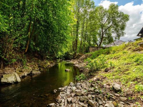 a river with rocks and trees on the side of a hill at Welcoming bungalows in Neustadt in Neustadt/Harz