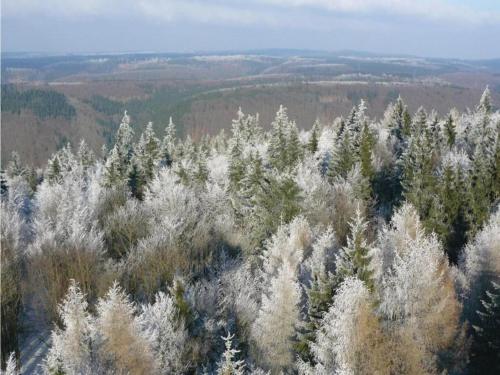 an aerial view of a forest with snow covered trees at Welcoming bungalows in Neustadt in Neustadt/Harz