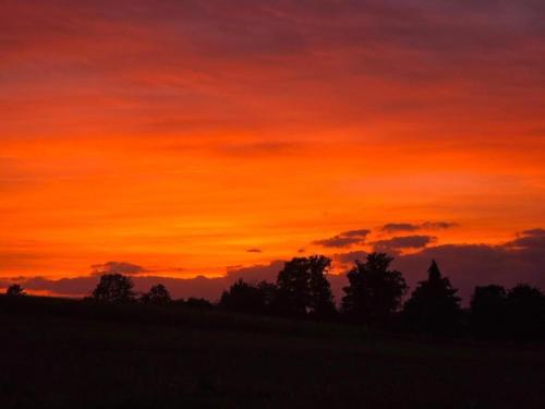 an orange sunset with trees in the foreground at Welcoming bungalows in Neustadt in Neustadt/Harz