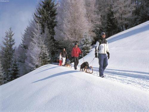 a group of people walking their dogs in the snow at Modern Apartment in Kitzbuhel near Ski Area in Kitzbühel