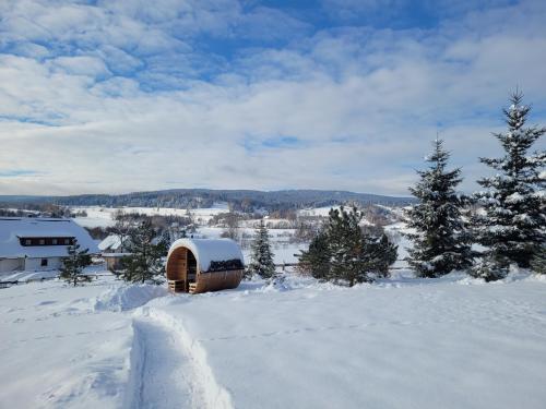 Apartmány Stachy Popelná im Winter