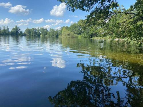 a view of a river with trees and clouds in the water at Eco-friendly chalet near the lake in Asten in Tittmoning